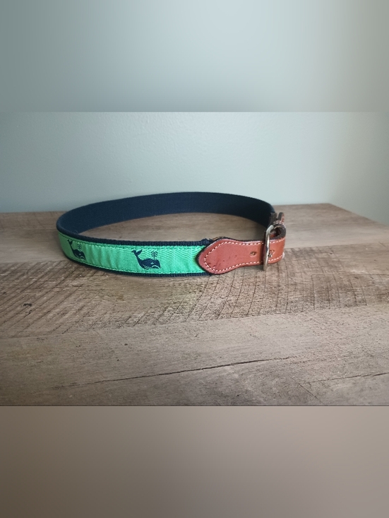 The Unbranded Brand Accessories - Womens Whimsical Whale Ribbon Belt XS/S Green Buckle Preppy Quirky